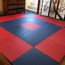 25mm interlocking gym mats