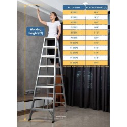Dual step ladders