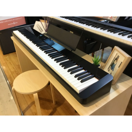 Casio Privia Px s1000 digital pianos