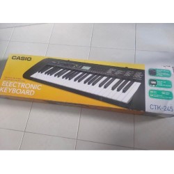 Casio ctk 245 standard electronic keyboards
