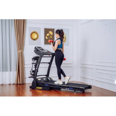 Techfitness 4hp treadmills