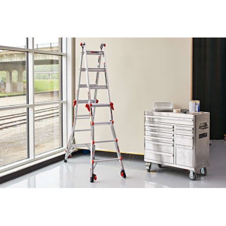 Little giant ladders